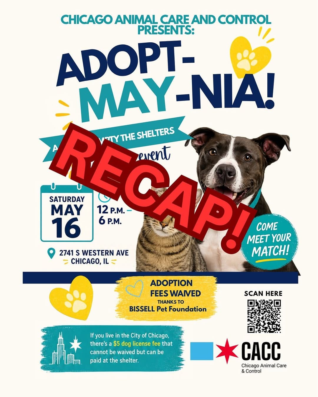Post 5 by Chicago Animal Care & Control on Instagram (carousel)
