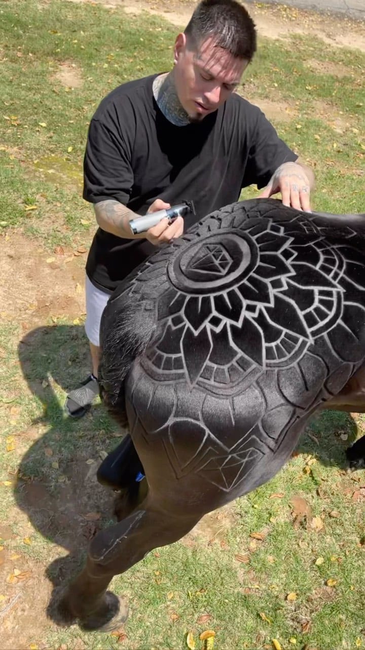 Post 10 by Rob The Original on Instagram (video)
