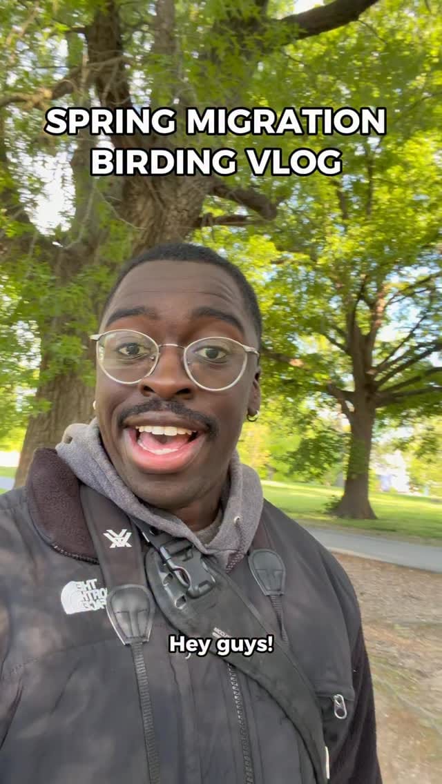 Post 3 by Kojo Baidoo on Instagram (video)