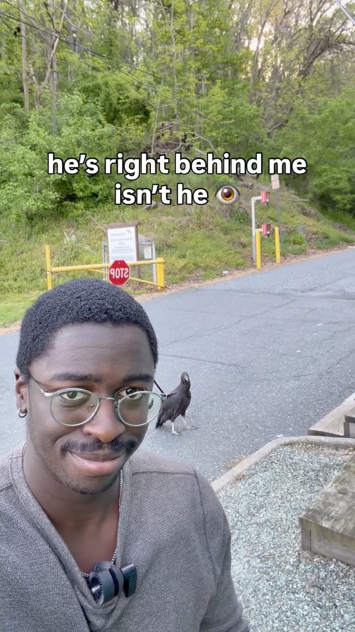 Post 6 by Kojo Baidoo on Instagram (video)