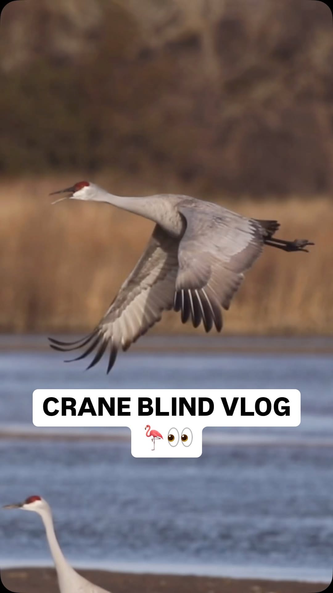 Post 8 by Kojo Baidoo on Instagram (video)