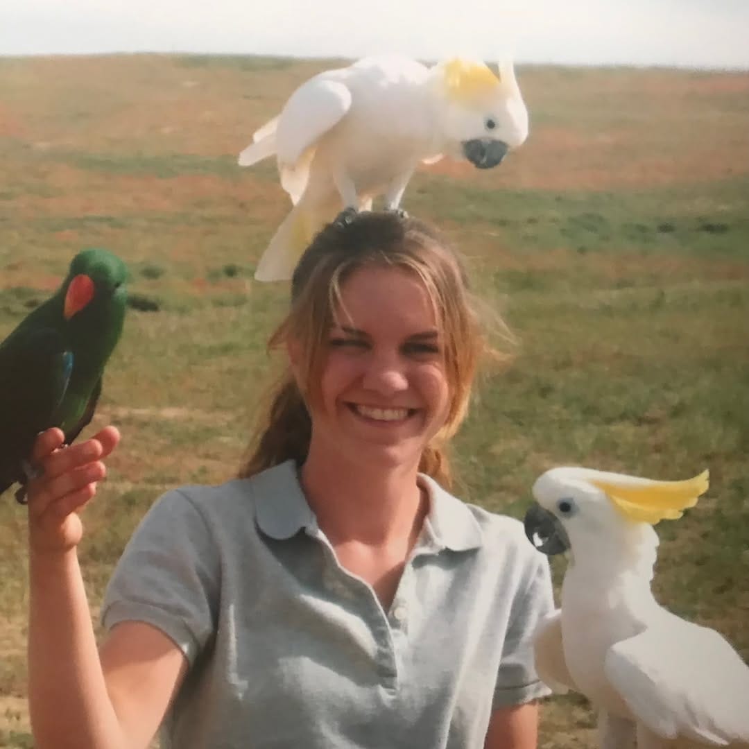 Post 5 by Hillary Hankey | Bird Behavior Expert on Instagram (image)