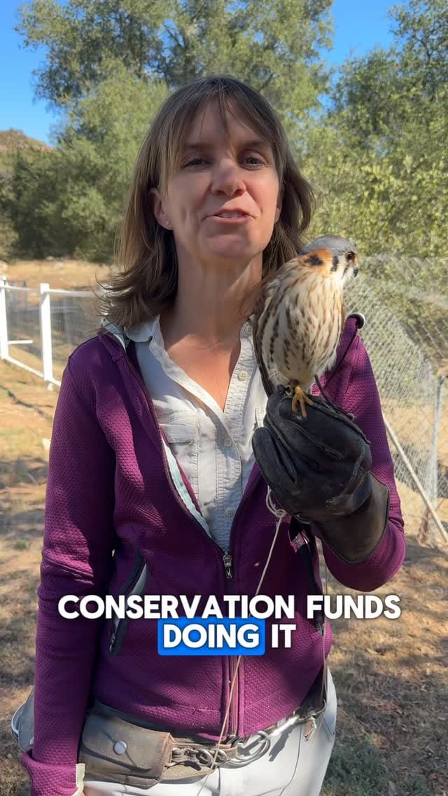 Post 8 by Hillary Hankey | Bird Behavior Expert on Instagram (video)
