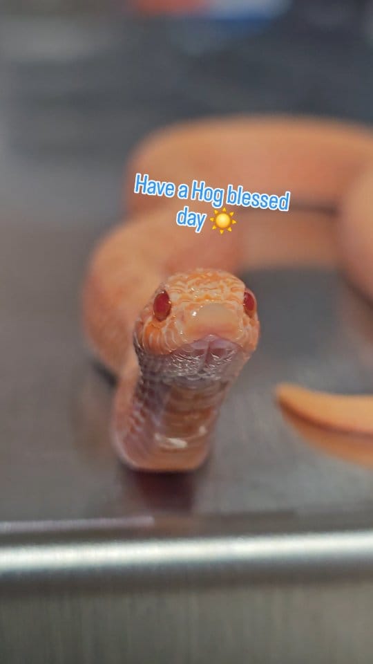 Post 2 by Jeff Galewood on Instagram (video)