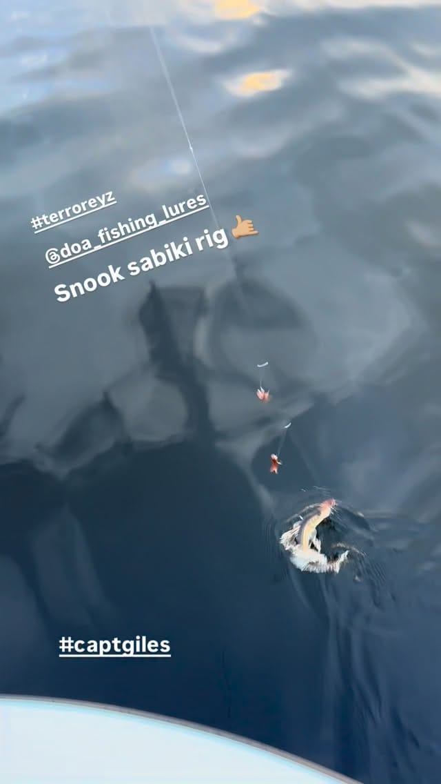 Post 1 by •Stuart Angler• on Instagram (video)