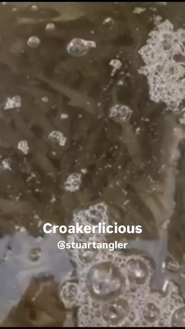 Post 8 by •Stuart Angler• on Instagram (video)
