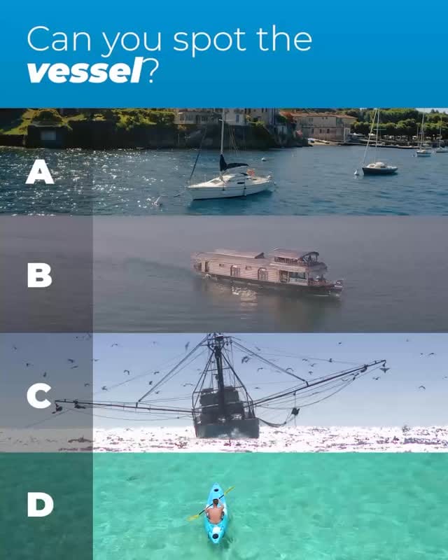 Post 1 by Florida Sea Grant on Instagram (video)