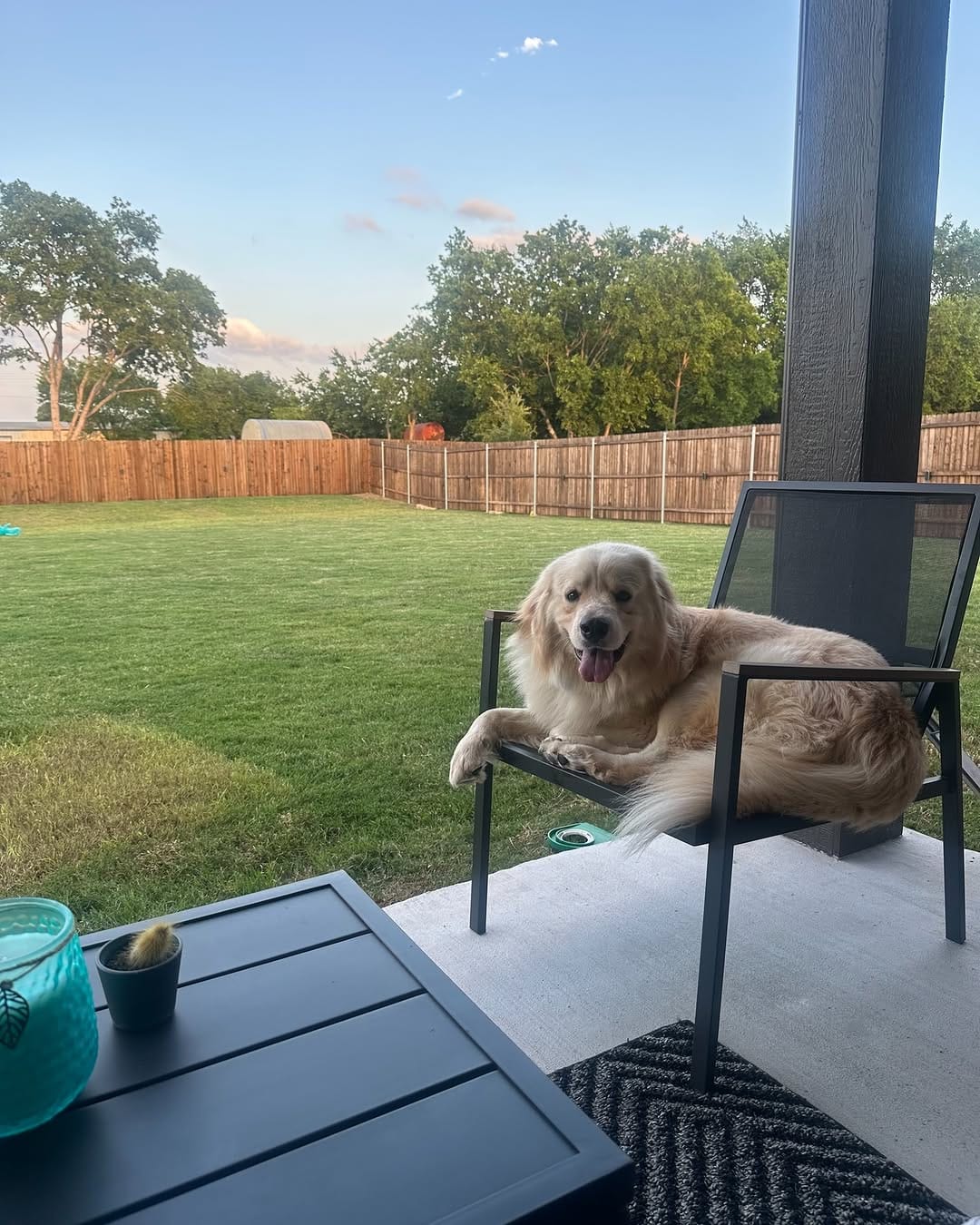 Post 1 by Saving Pyrenees In Need Rescue on Instagram (carousel)