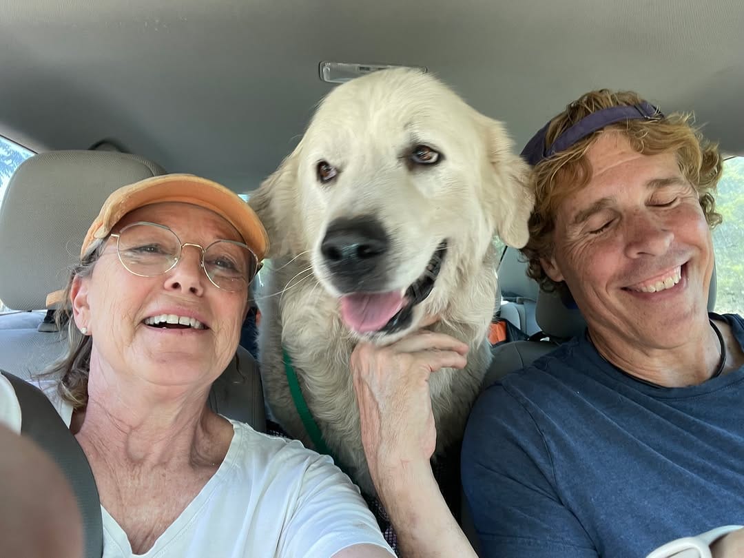 Post 7 by Saving Pyrenees In Need Rescue on Instagram (image)