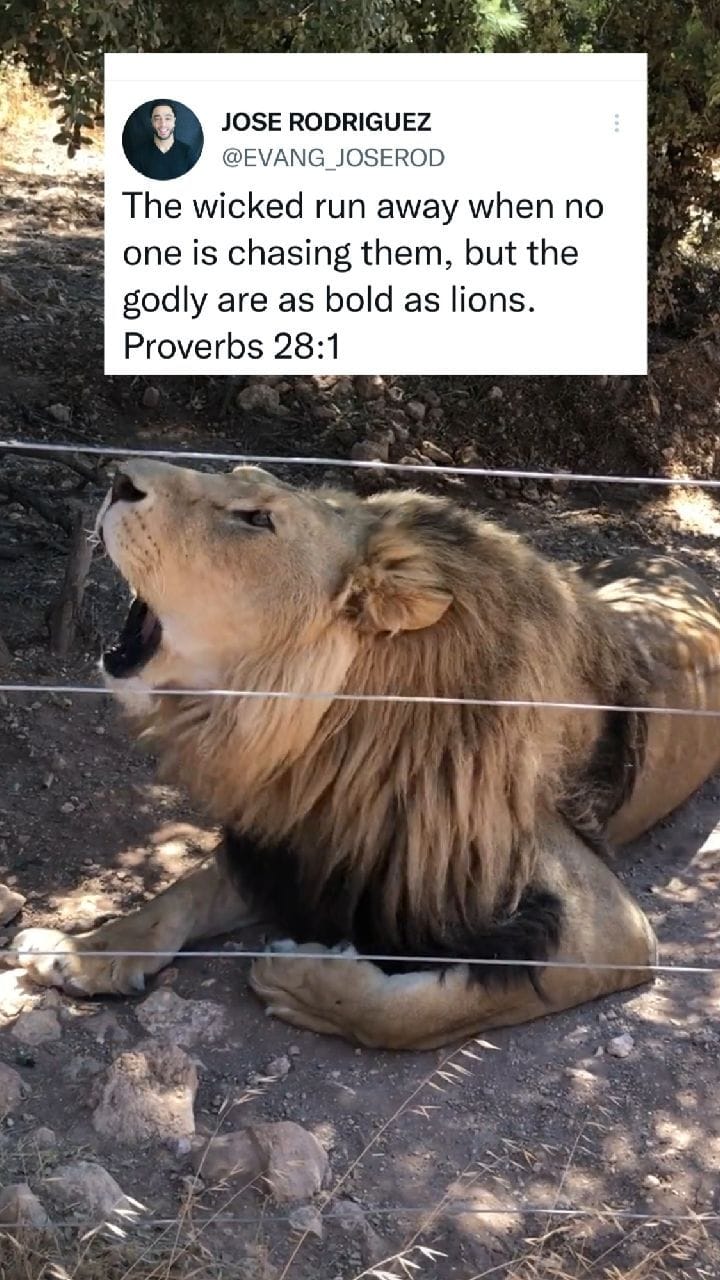 Post 9 by Jose Rodriguez (evangelist) on Instagram (video)