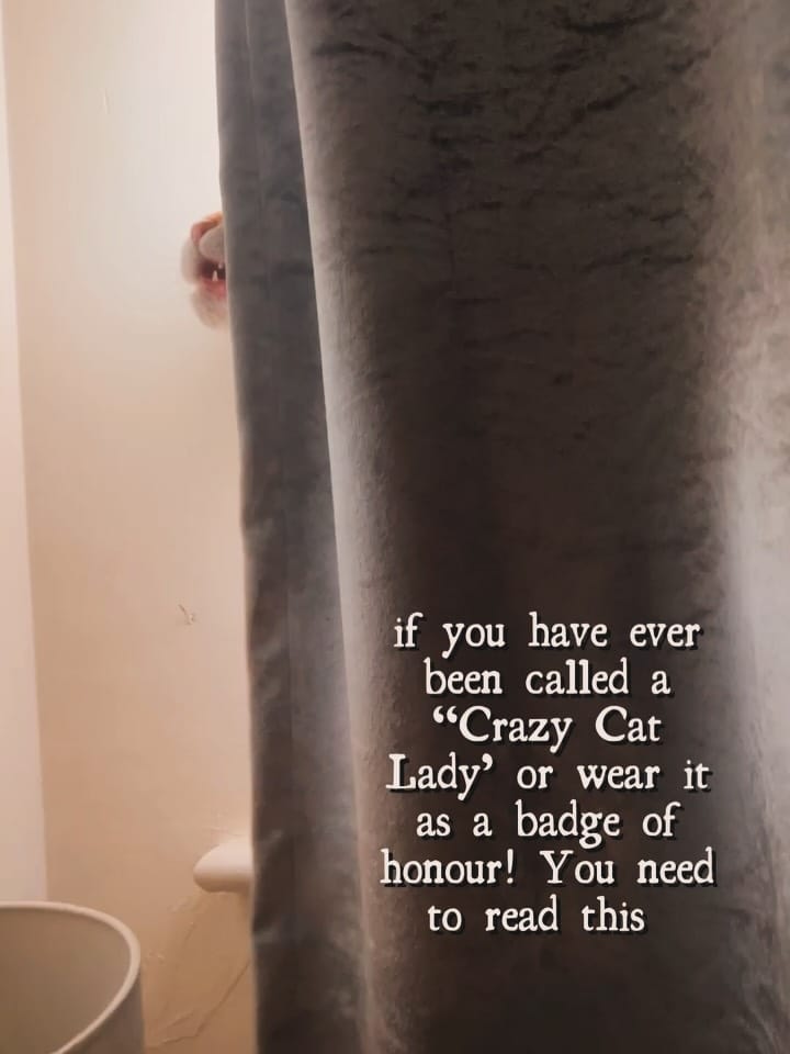 Post 1 by Ministry of Fluff on Instagram (carousel)