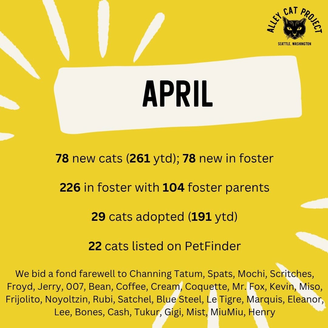 Post 7 by Alley Cat Project on Instagram (carousel)