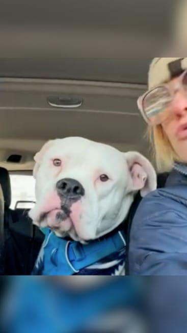 Post 10 by Party with Petey on Instagram (video)