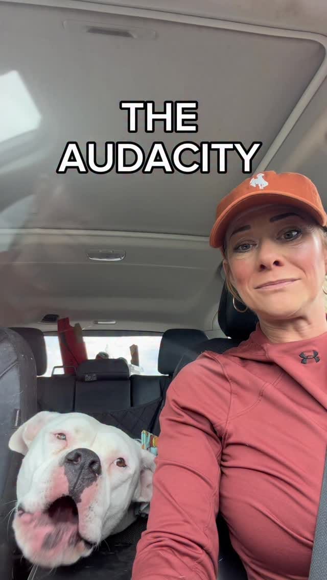 Post 3 by Party with Petey on Instagram (video)