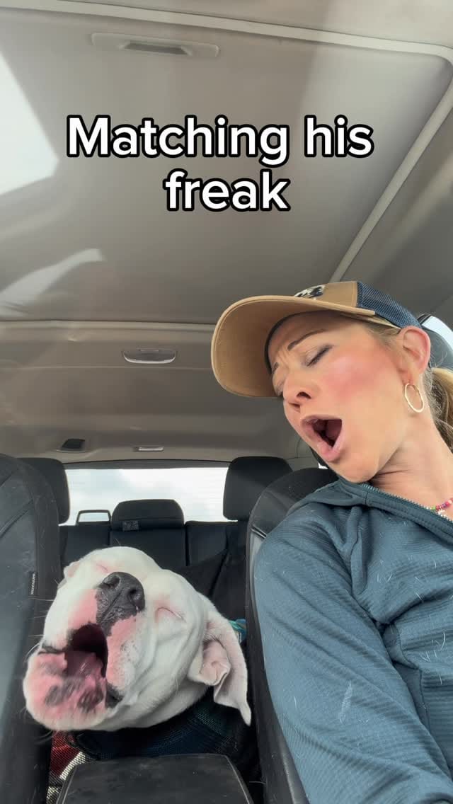 Post 2 by Party with Petey on Instagram (video)