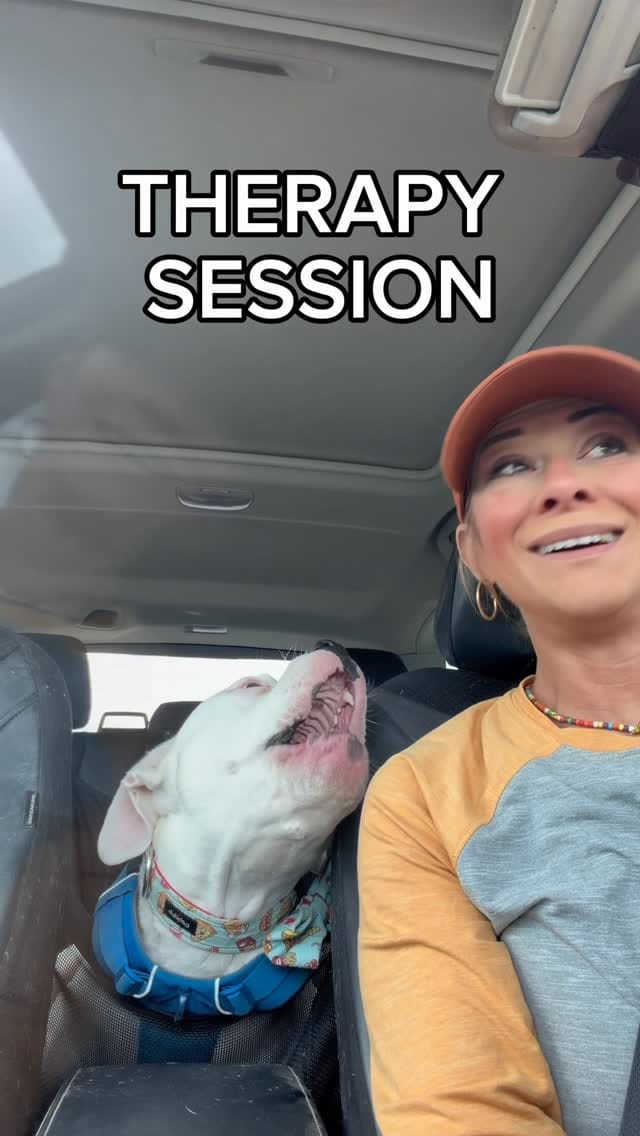 Post 4 by Party with Petey on Instagram (video)