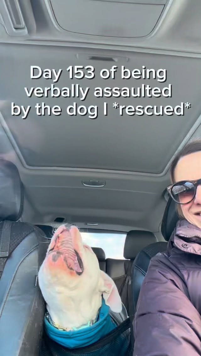 Post 9 by Party with Petey on Instagram (video)