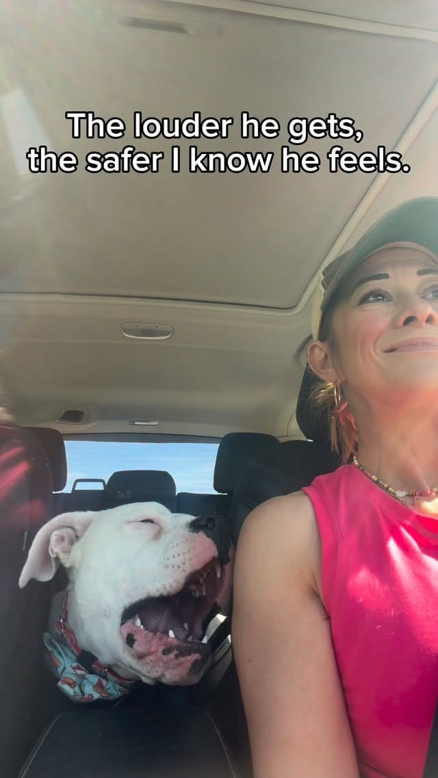 Post 7 by Party with Petey on Instagram (video)