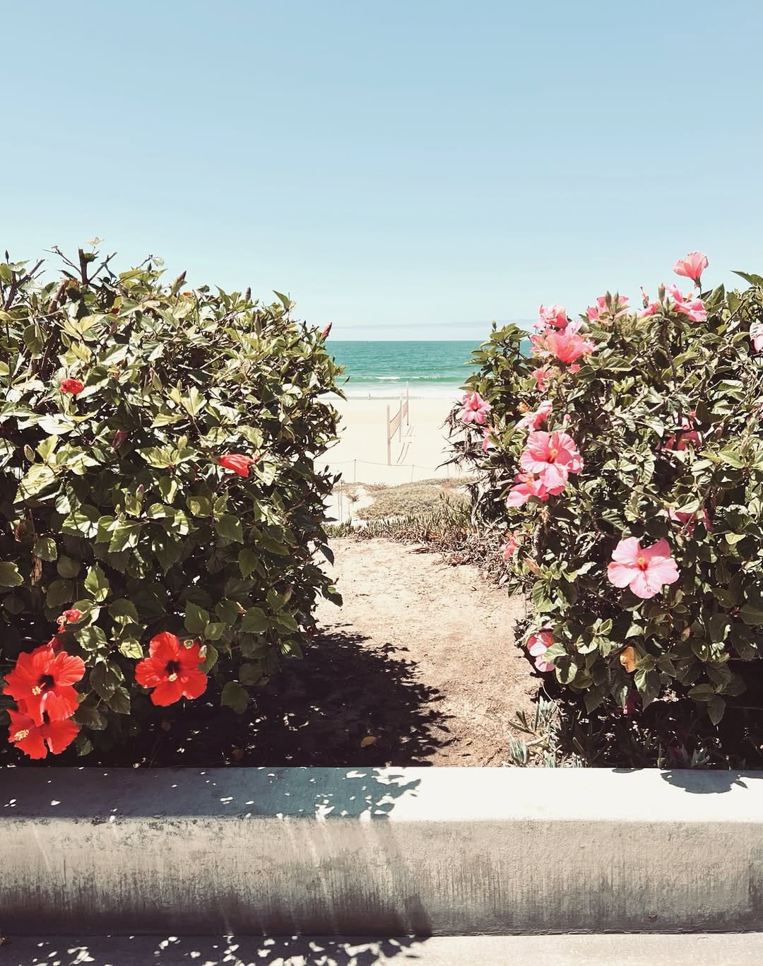 Post 4 by SHARLENE ★ South Bay on Instagram (image)