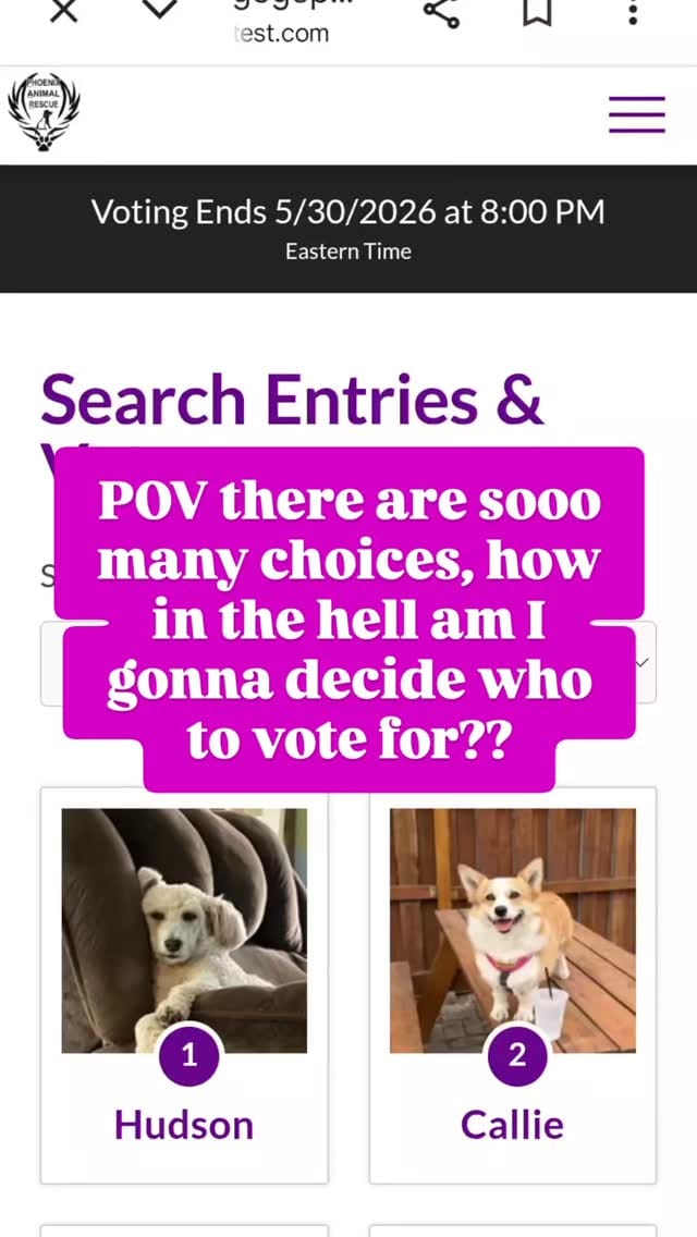 Post 1 by Phoenix Animal Rescue on Instagram (video)