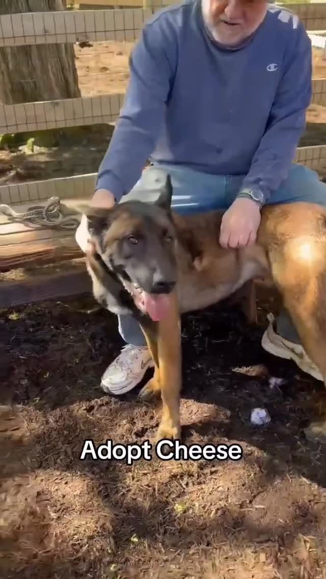 Post 6 by Phoenix Animal Rescue on Instagram (video)
