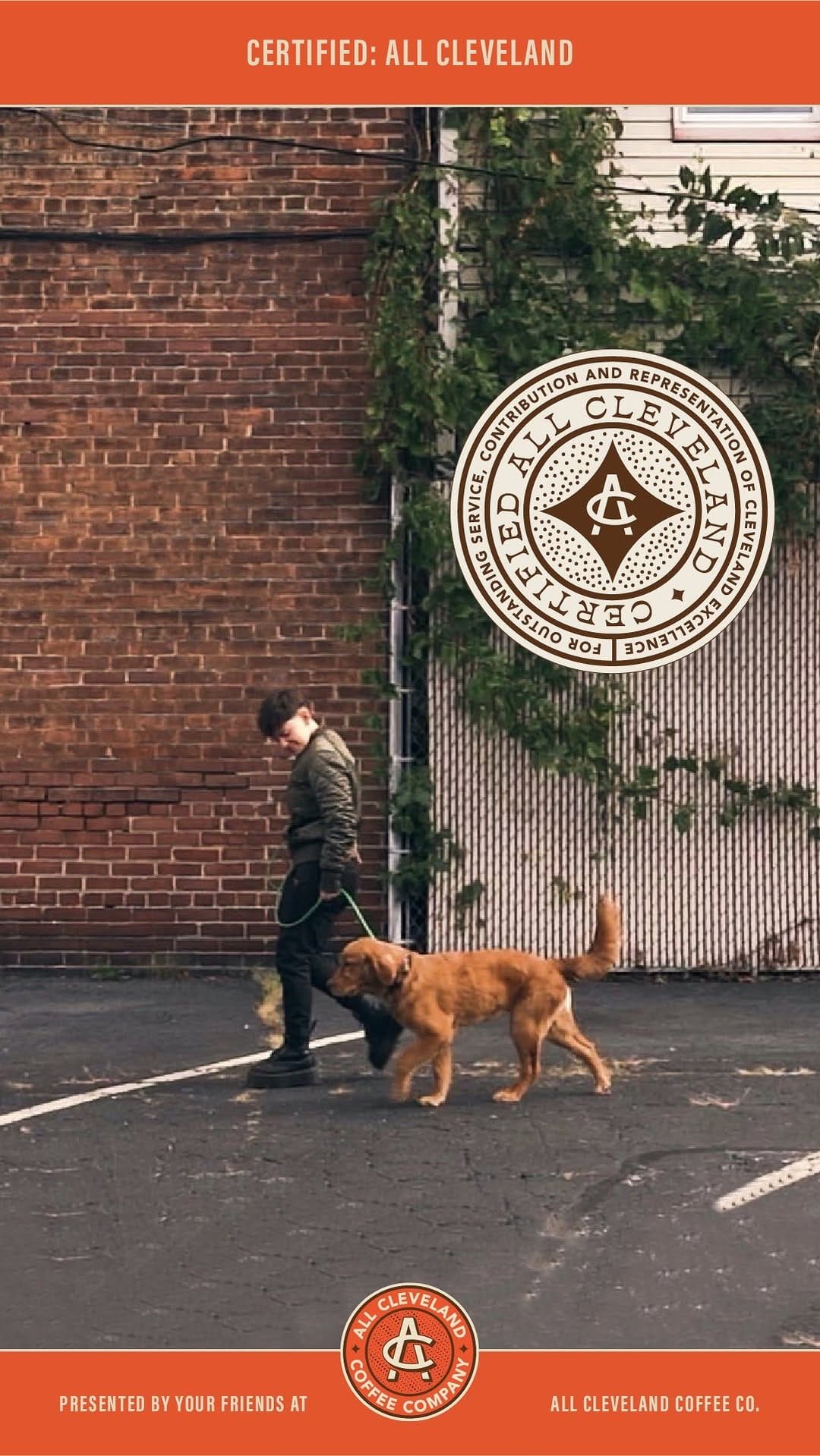 Post 10 by Boss K9 on Instagram (video)