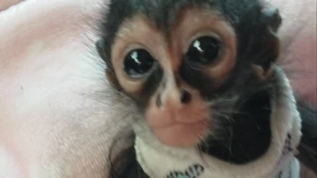 Post 3 by The CARE Foundation on Instagram (video)