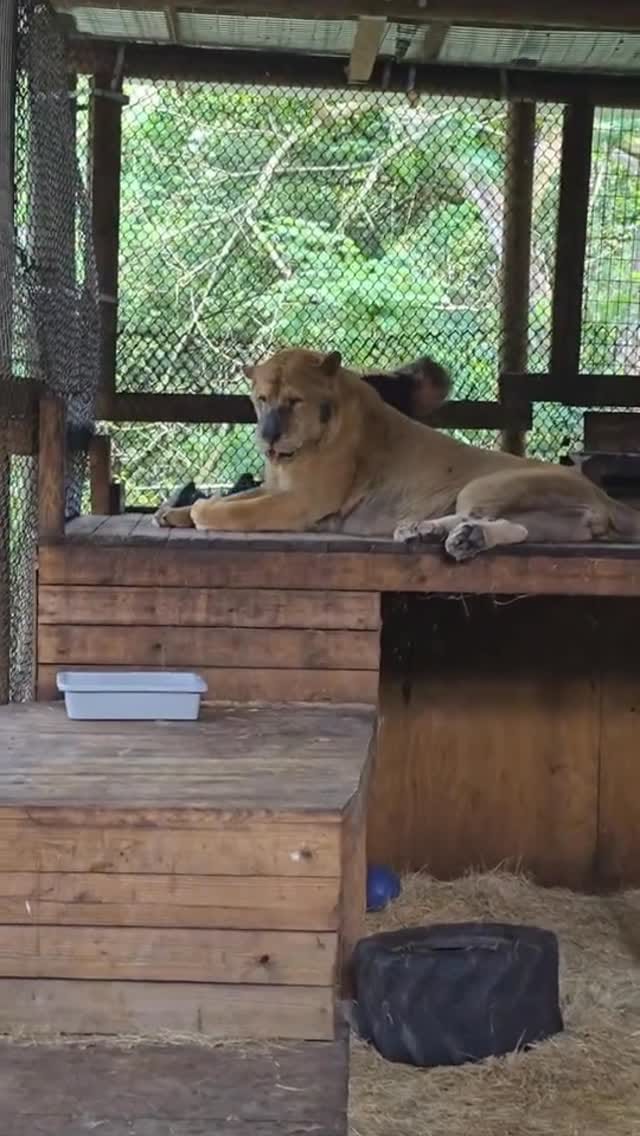 Post 1 by The CARE Foundation on Instagram (video)