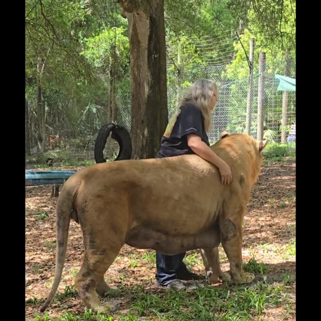 Post 10 by The CARE Foundation on Instagram (video)