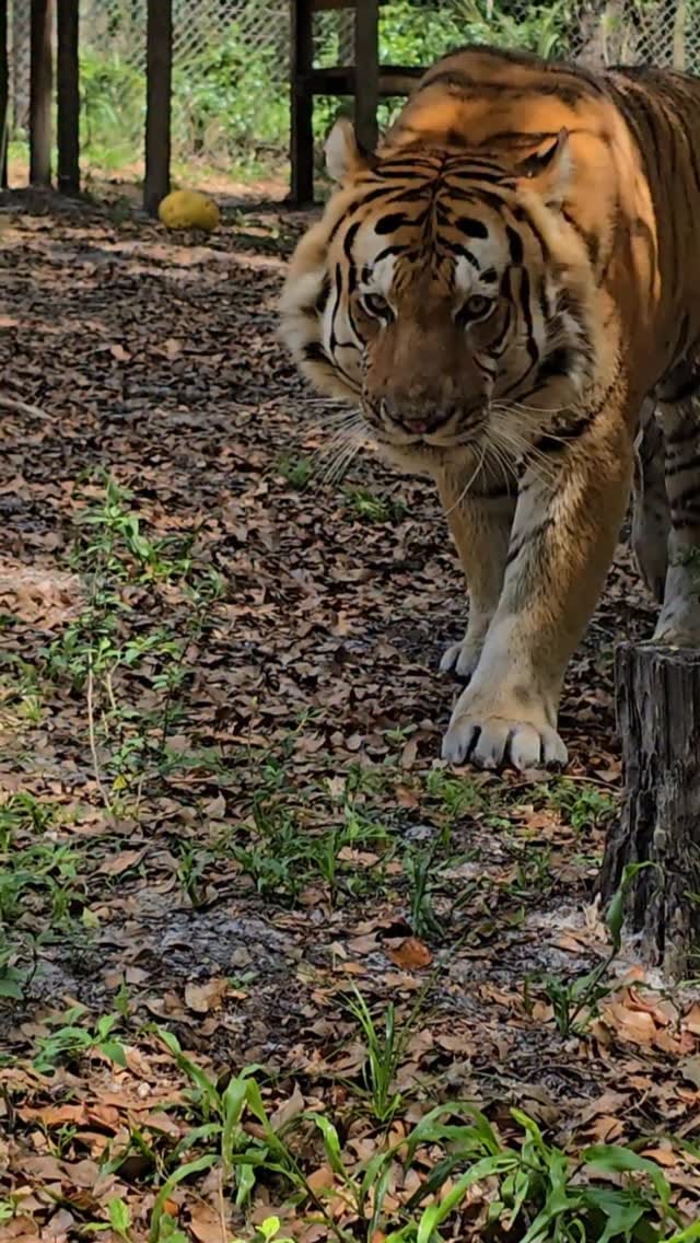 Post 9 by The CARE Foundation on Instagram (video)