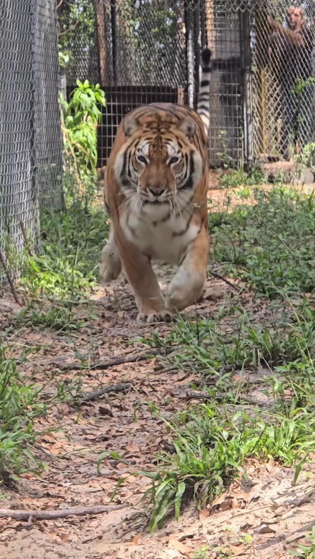 Post 8 by The CARE Foundation on Instagram (video)