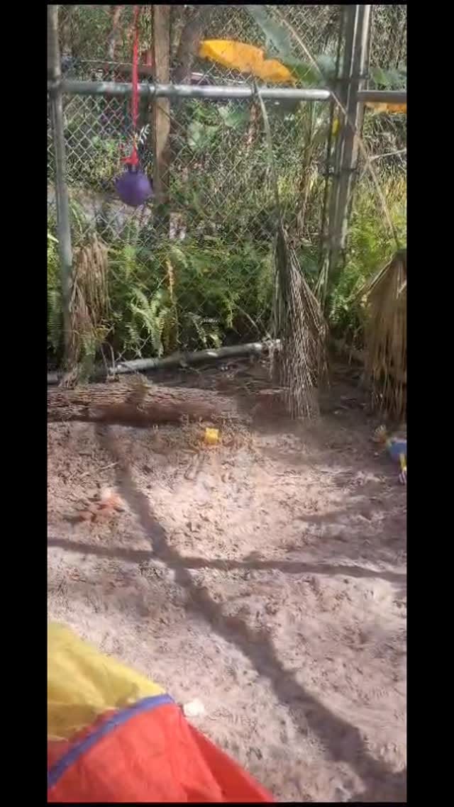 Post 7 by The CARE Foundation on Instagram (video)