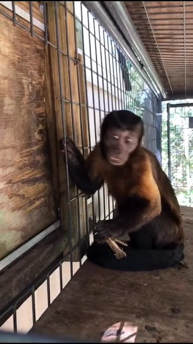 Post 2 by The CARE Foundation on Instagram (video)