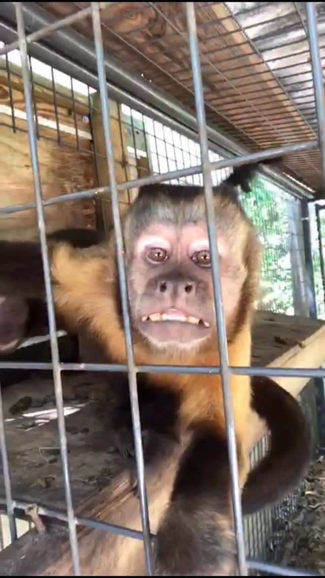 Post 6 by The CARE Foundation on Instagram (video)