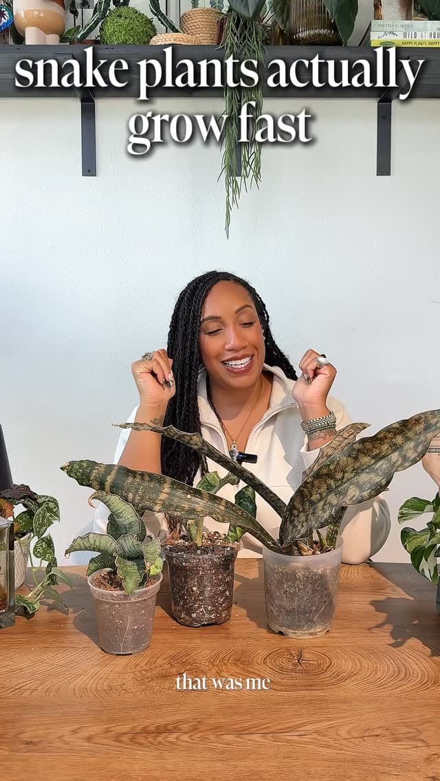 Post 2 by Britt Parrish on Instagram (video)