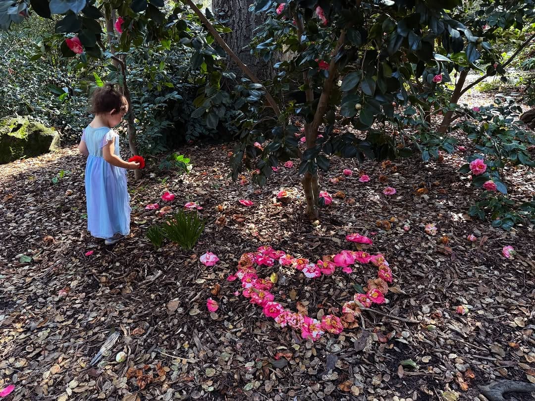 Post 1 by Shanna Fisher Photography on Instagram (image)