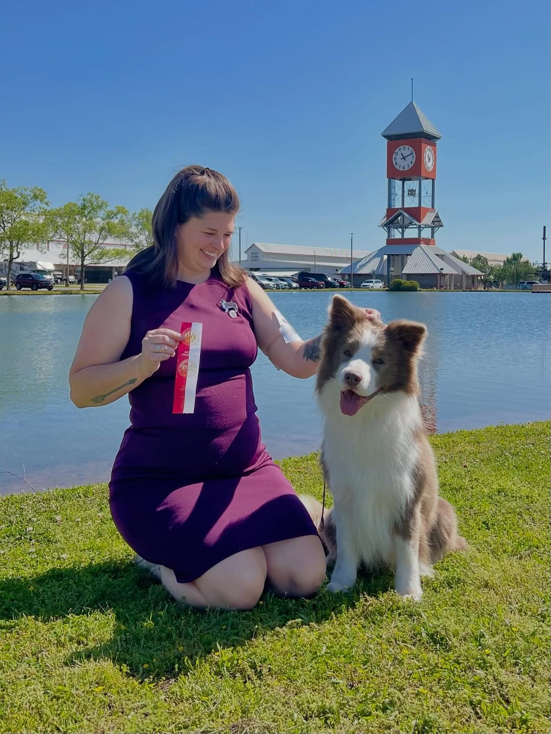 Post 5 by ✨🪻Amethyst Border Collies🪻✨ on Instagram (carousel)