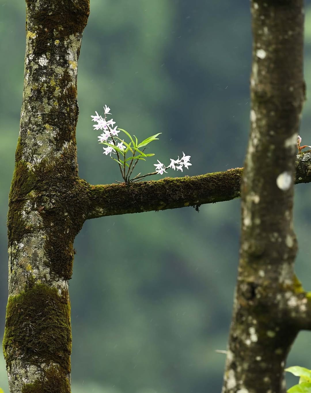 Post 10 by Naresh Swami on Instagram (image)