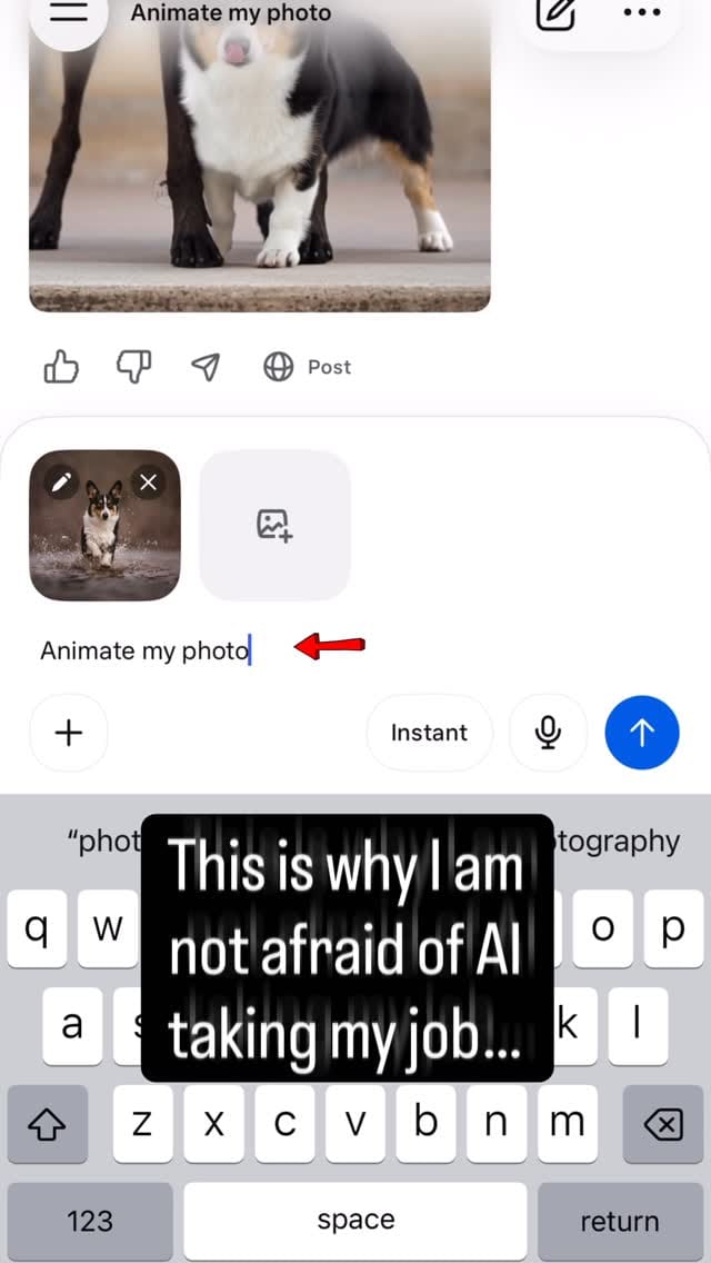 Post 1 by J.Klein Photos on Instagram (video)