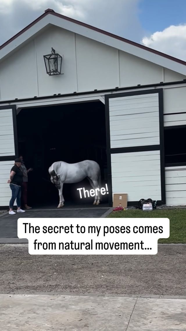 Post 5 by J.Klein Photos on Instagram (video)
