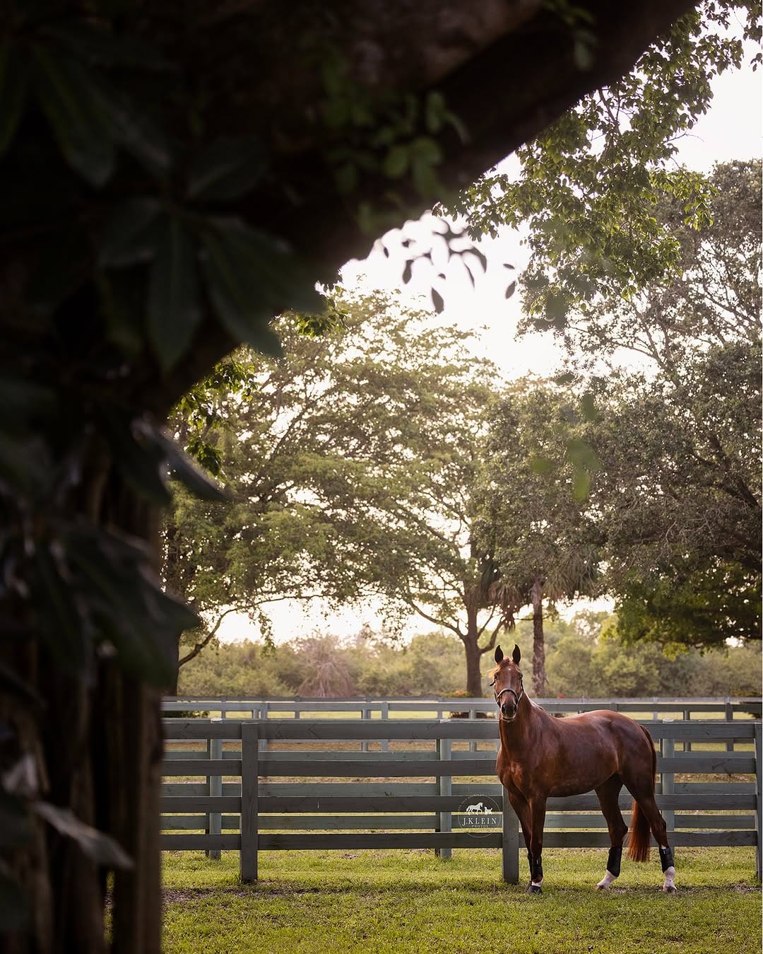 Post 2 by J.Klein Photos on Instagram (carousel)