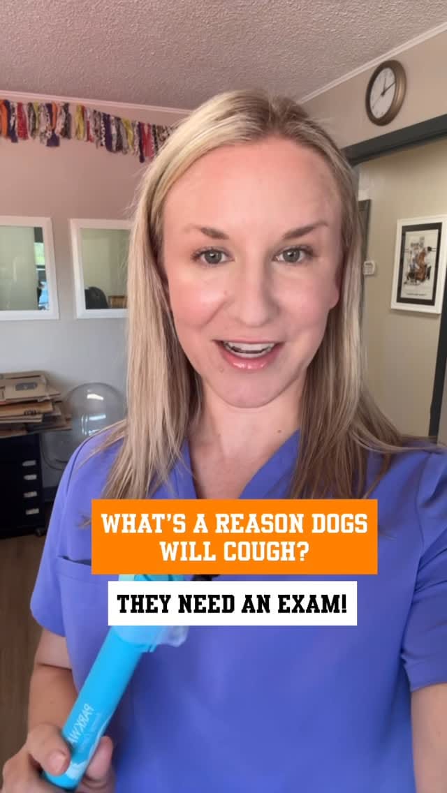 Post 8 by Alta Vista Animal Hospital on Instagram (video)