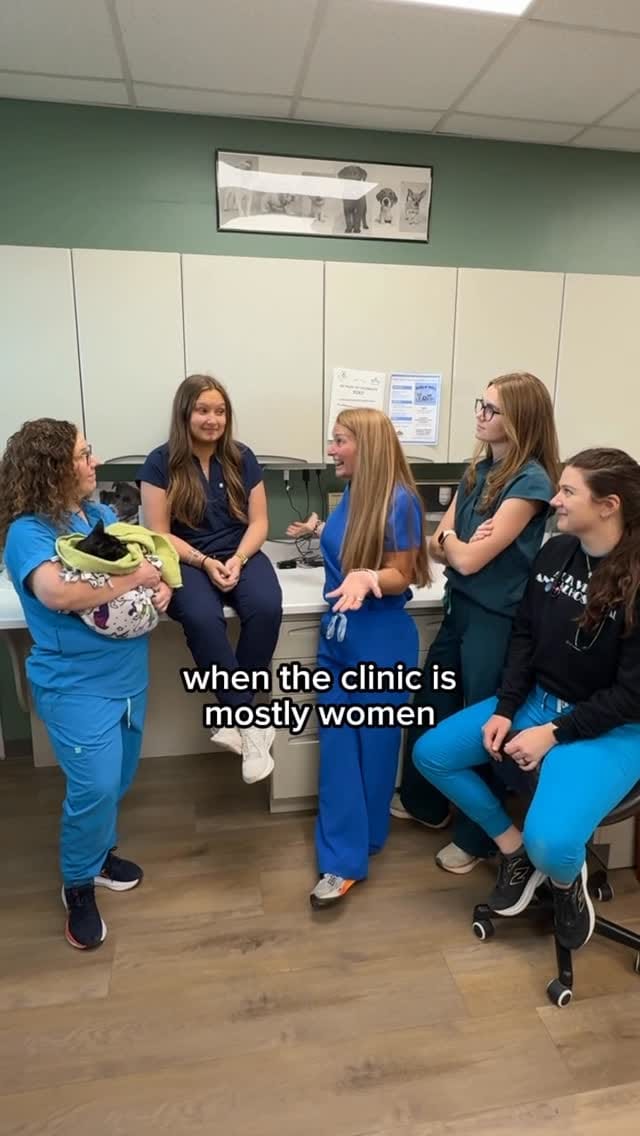 Post 4 by Alta Vista Animal Hospital on Instagram (video)
