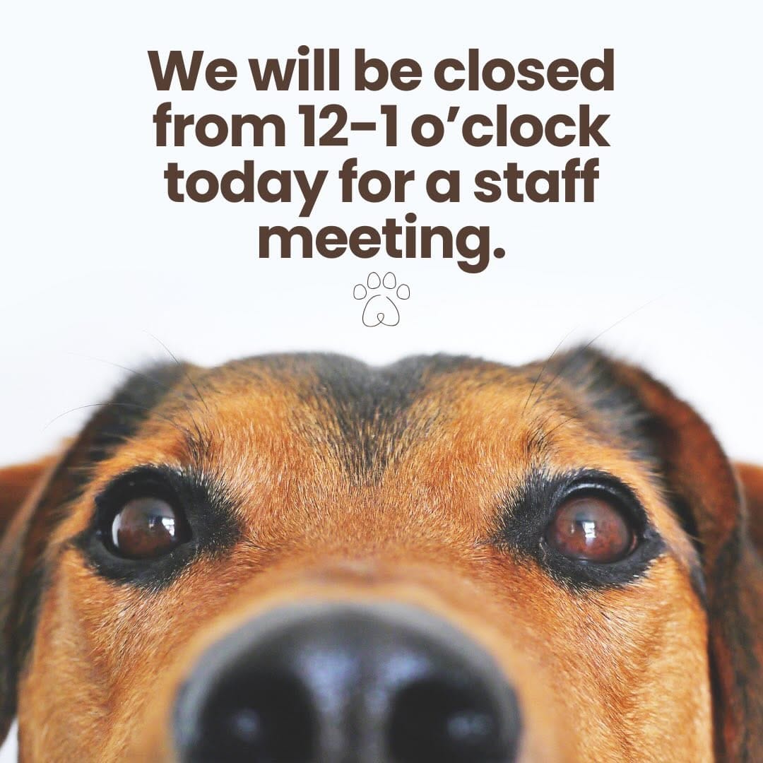 Post 5 by Alta Vista Animal Hospital on Instagram (image)