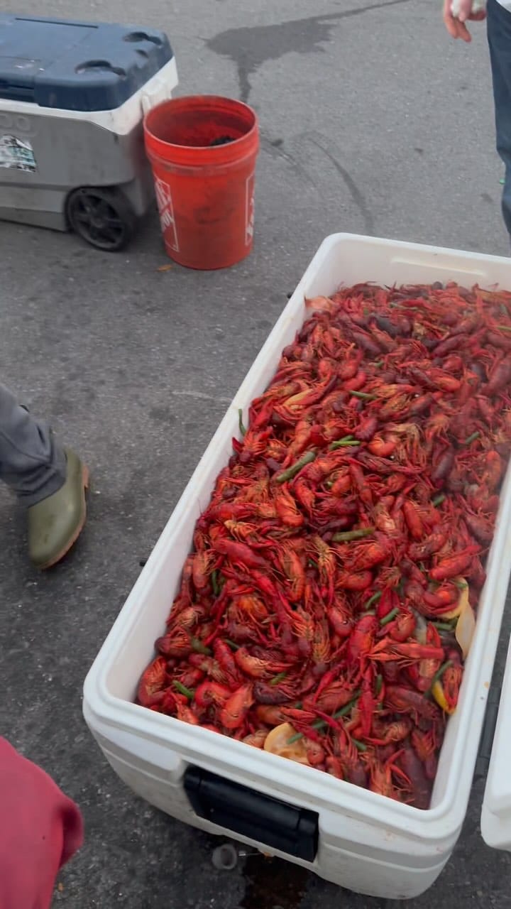 Post 10 by Buggin’ Out Boils on Instagram (video)