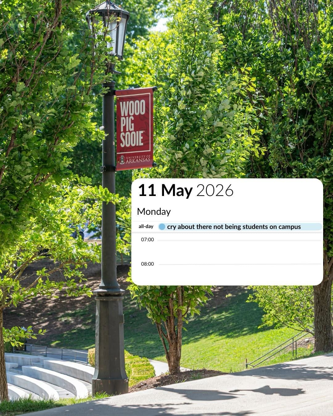 Post 3 by University of Arkansas on Instagram (carousel)