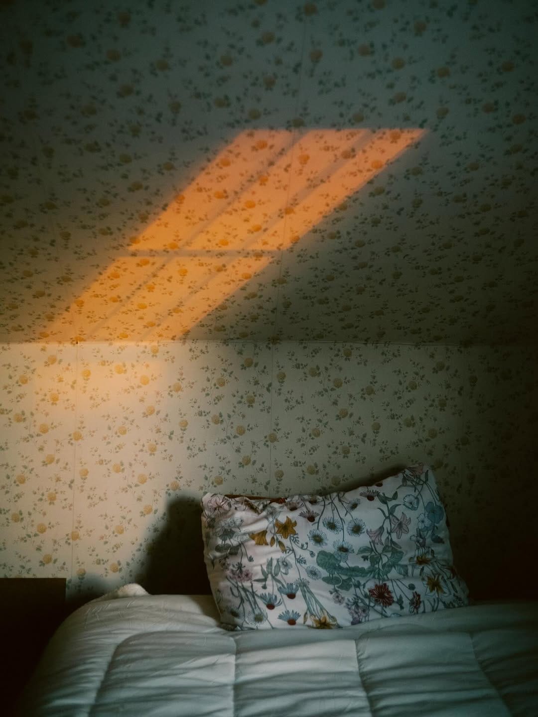 Post 7 by gavin spellman on Instagram (image)