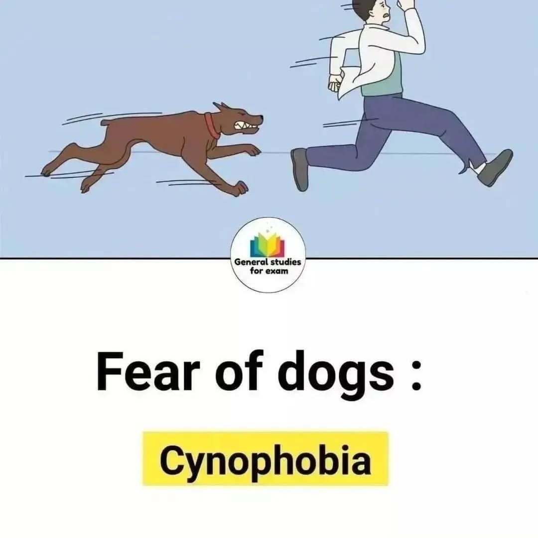 Post 10 by spoken English on Instagram (carousel)