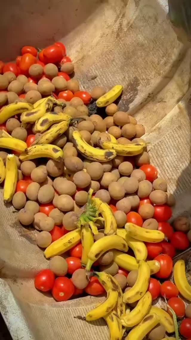 Post 8 by spoken English on Instagram (video)
