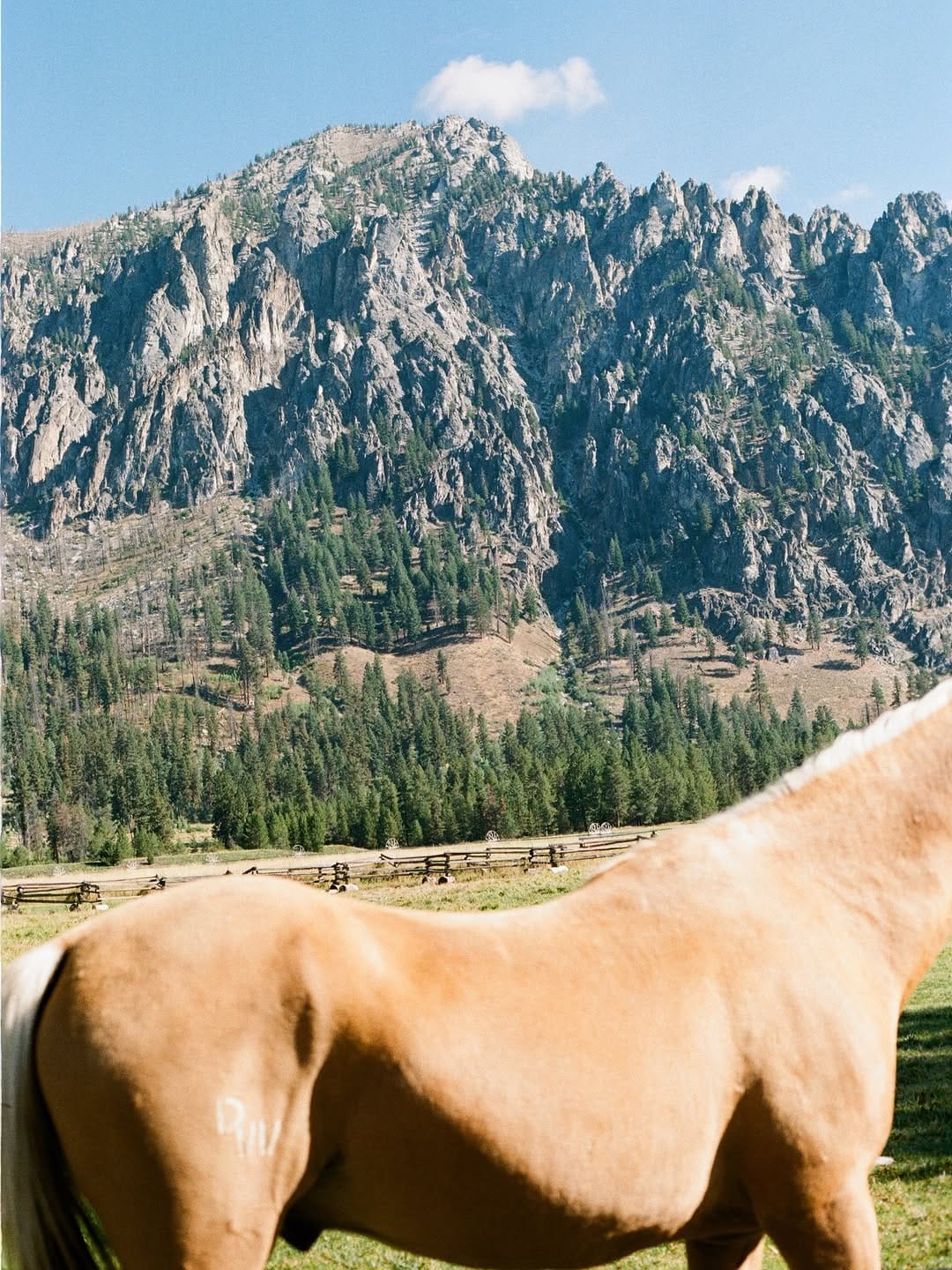 Post 4 by Ashley Teresa | Jackson Hole Wedding Photographer on Instagram (carousel)